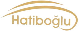 Light Logo